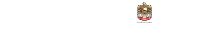 Top SEO Company in Dubai
